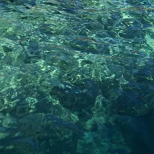 https://vesuvius-terminal.hotels-amalfi.com